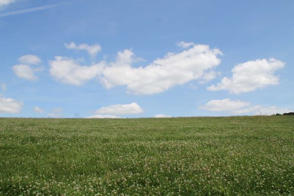 Umgebung