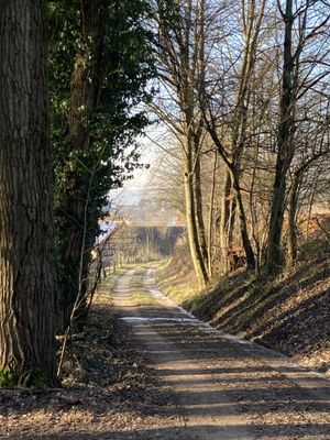 SchÃ¶ne Wanderwege - nur ein paar Schritte von uns entfernt...