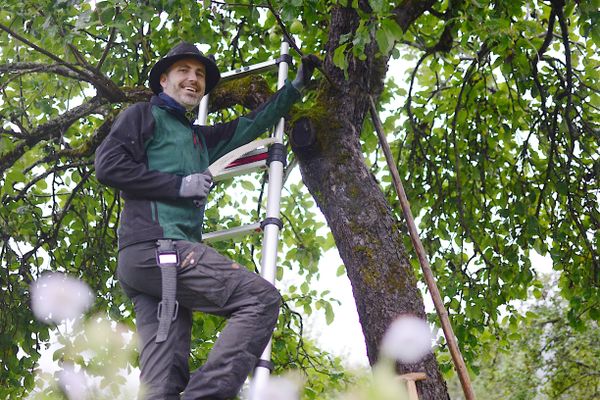 2021-07 Julian Bruhn Raiba Streuobstwiese