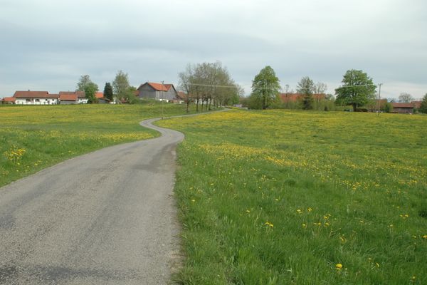 Dorf
