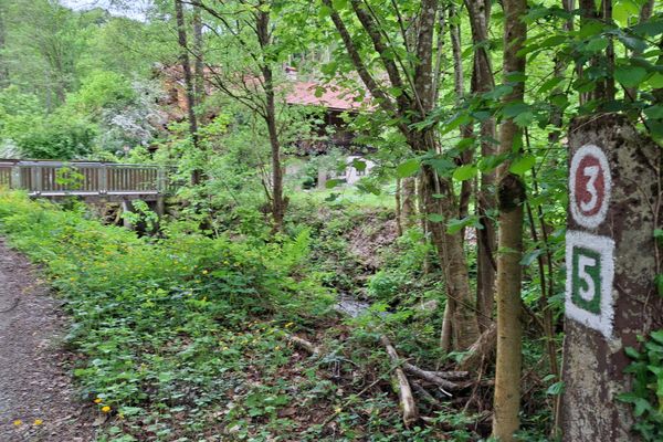Ein Weg führt durch einen Laubwald. In die Rinde eines Baumstammes sind zwei Markierungen eingezeichnet. Im Hintergrund überspannt eine Brücke den Bach und führt zu einem Gebäude, das von dichtem Laubgewächs verdeckt ist.
