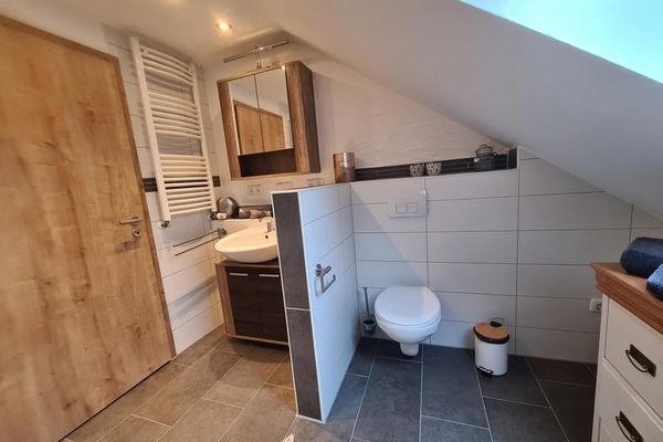 Aufnahme aus dem Badezimmer mit Waschbecken und WC