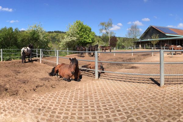 Stallungen