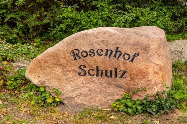 Großer Stein mit eingravierter Schrift, umgeben von Pflanzen und Bodenbewuchs