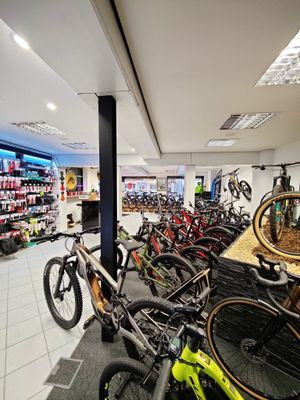MD Bikes innen