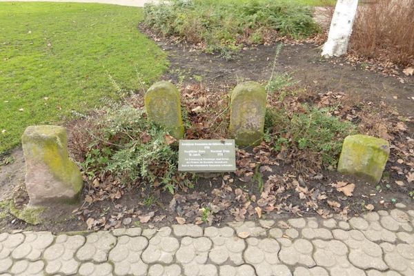 Alte Grenzsteine aus dem Odenwald