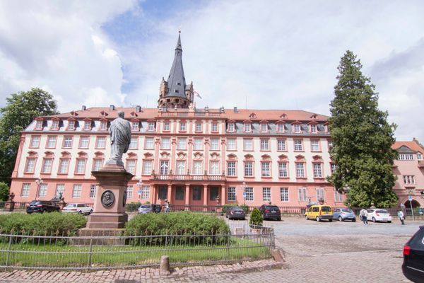Schloss in Erbach