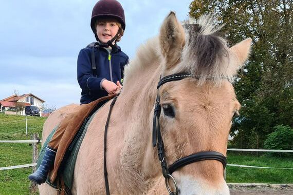 Ein Kind sitzt auf einem gesattelten und getrensten großen Pony.