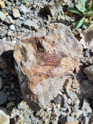 Basalt mit Einschlüssen
