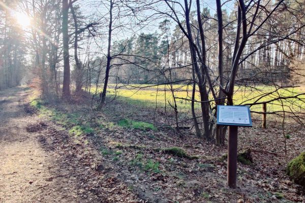 Ein ruhiger Waldweg nahe dem Sirachsberg bei Bad Bevensen führt durch lichte Baumlandschaft mit moosbedeckten Findlingen. Eine Informationstafel weist auf den sagenumwobenen Teufelsstein hin – ein geschichtsträchtiger Ort mit mystischer Atmosphäre. Im Spiel des Sonnenlichts entsteht eine besondere Stimmung zwischen Natur und Erzählung.