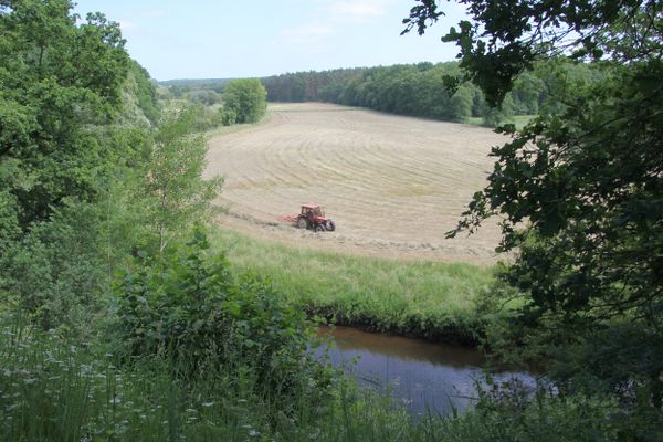 Blick auf die Ilmenauaue