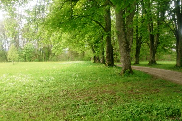 In der Nähe des Golfareals bei Pähl