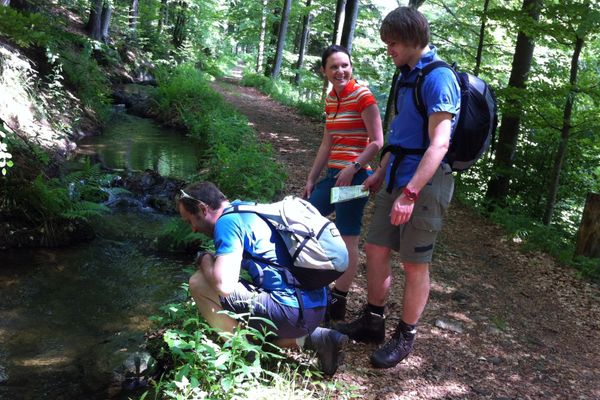 In einem Laubwald schlängelt sich ein Weg entlang eines Baches. Ein Wanderpärchen steht vor dem Bach, während ein weiterer Wanderer vor dem Gewässer kniet.