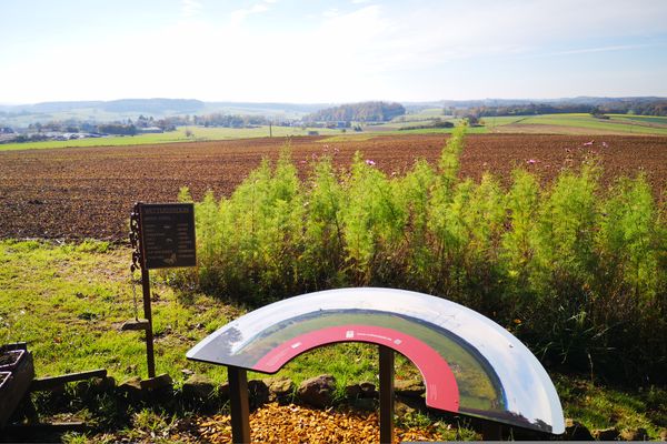 Schau-ins-Land Panoramatafel