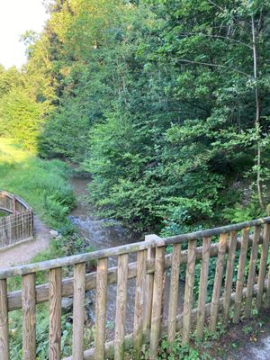 Über ein hölzernes Brückengeländer blickt man auf einen Bach, der zwischen einer Wiese und hohen Laubbäumen verläuft; in der Wiese ist ein Teil einer umzäunten Fläche zu sehen.