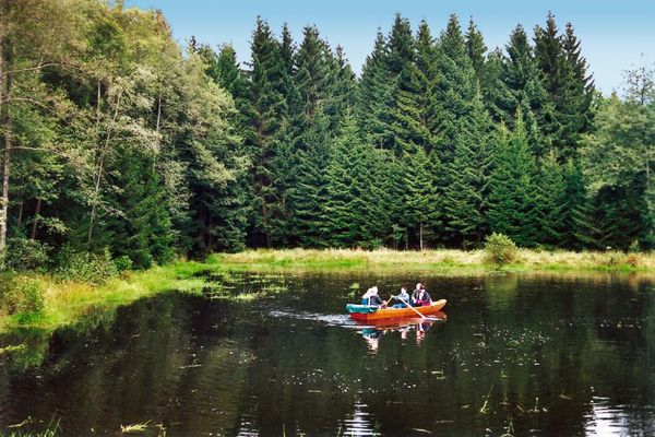 Fünf Personen paddeln in einem Boot über den sonnigen Meinstorfer Weiher. Das Gewässer liegt idyllisch mitten im Wald.