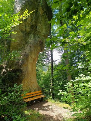 #5 Auf dem Franken- und Marienweg