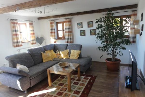 Gemütlicher Wohnraum mit Sprossenfenstern, Sichtbalken, hellgrauem Ecksofa, viereckigem Tisch, Kommode, TV und deckenhoher Grünpflanze. Bunt gemusterte Teppiche und Vorhänge sowie kleine Bilder an den Wänden ergänzen die Einrichtung.