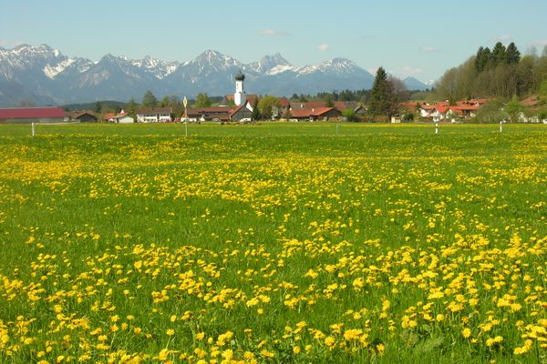 Bayerniederhofen