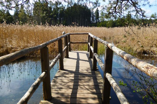 Ein Steg führt zur Blauen Gumpe, einem der vielen Quelltöpfe an den Osterseen.