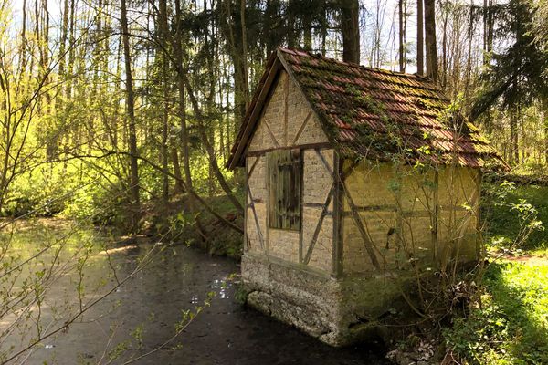 Ein kleines, schlichtes Fachwerkhüttchen steht unmittelbar an einem Teich im Wald. Das Hüttchen scheint ungenutzt zu sein, der Klappladen ist zu, das Dach vermoost.