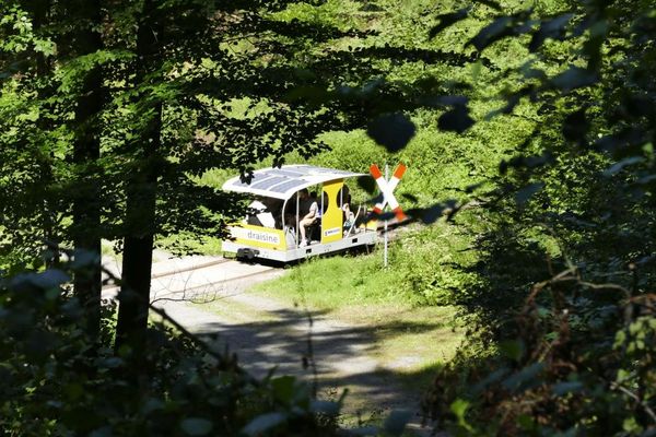 Solardraisine Wald 2