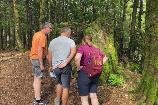 Das Geotop Bonifatiuskanzel versteckt sich inmitten des Waldes auf dem Rundwandwerg Bergmähwiesenpfad in Grebenhain-Herchenhain, in der hessischen Vulkanregion Vogelsberg.