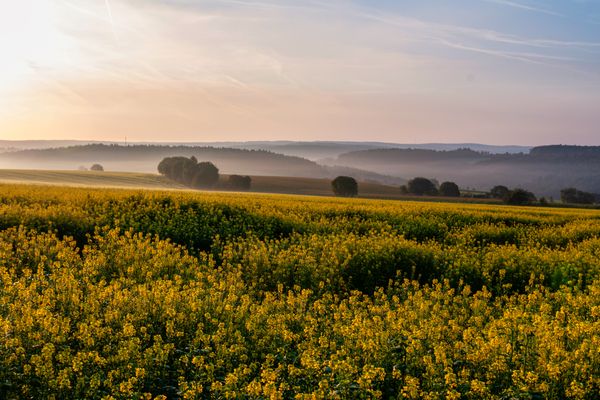 Brombachtal im Odenwald im Nebel