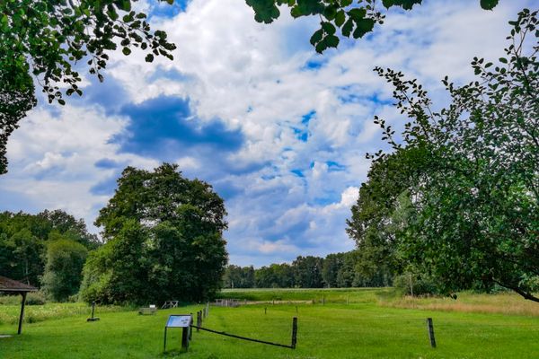 Grüne Wiese mit Bäumen und blauem Himmel mit weißen Wolken