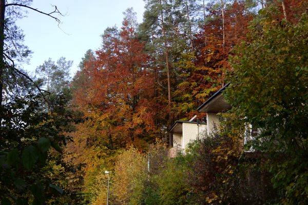Herbstansicht seitlich