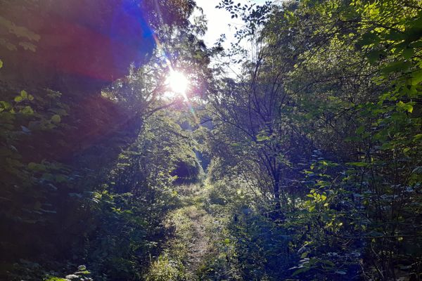 Wandertipp Nr. 25-11