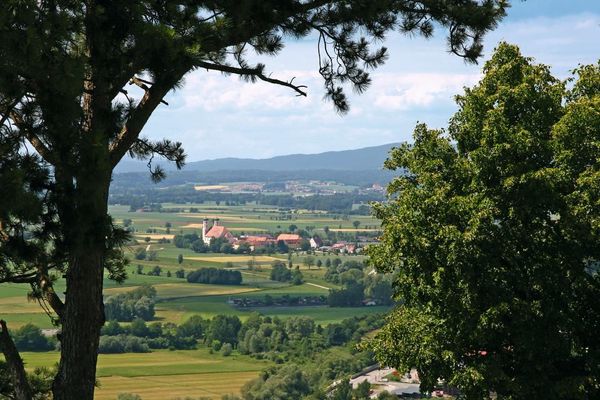 Zwischen Bäumen und Sträuchern ein herrlicher Blick hinab auf Oberalteich mit der Klosterkirche. Im Hintergrund einige Ortschaften und dahinter eine bewaldete Hügelkette.