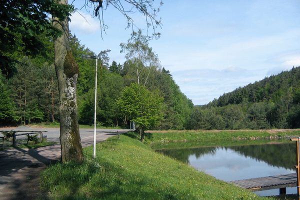 Im Vordergrund ist ein Teich mit Steg zu sehen, dessen leicht abfallender Uferrand Gras trägt. Linkerhand ist ein Parkplatz mit Bäumen. Hinter dem Teich erstreckt sich ein Waldgebiet.