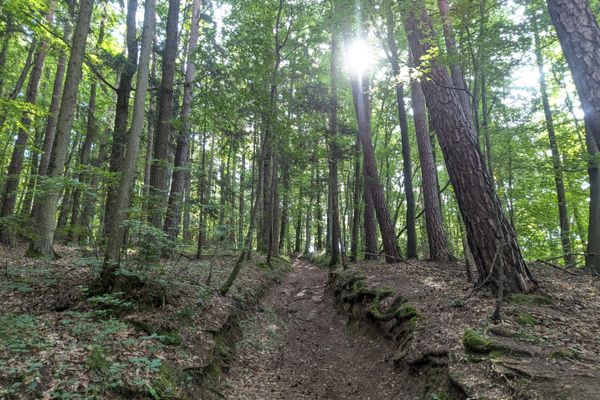 Über Berg und Tal zum „Oberailsfelder Radler“
