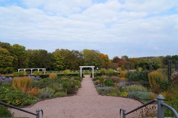 Blick auf einen herbstlichen Park mit einem breiten Weg, umgeben von bunten Pflanzen und Bäumen unter bewölktem Himmel