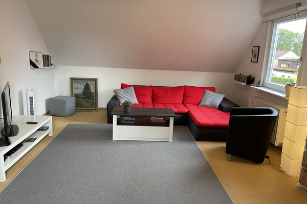 Wohnzimmer Couch