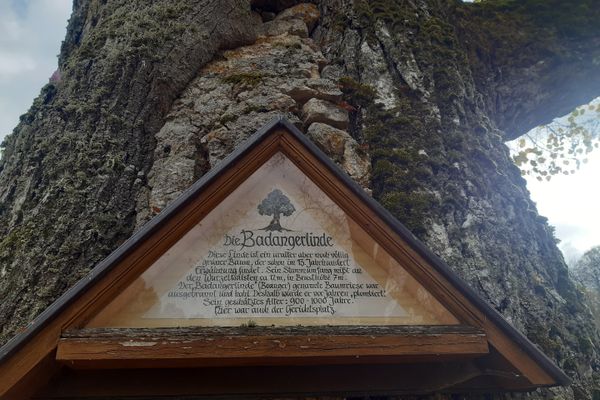 Gößweinstein – Spaziergang durch den Eibenwald
