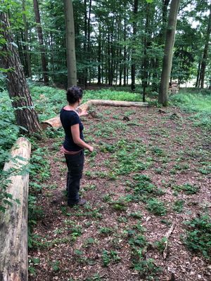 Trekking-Camp Waldschlössel in Limbach-Wagenschwend
