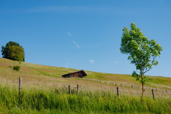 Radweg-der-Versunkenen-Schloesser_2021_original_Daxl-Eiglsperger_DSC_7521