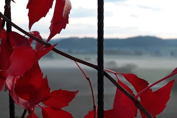 Landschaft