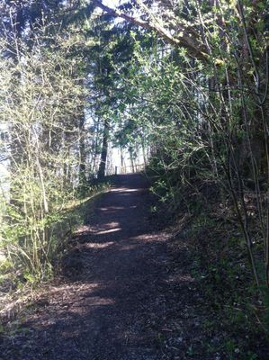 Waldweg