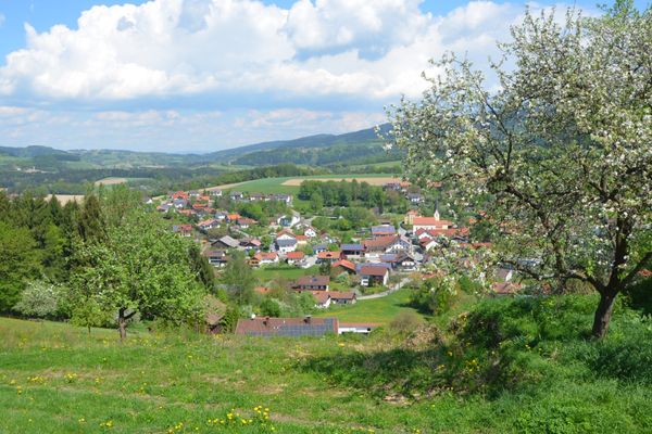 Blick vom Hofberg auf den Ort Haibach. Eingebettet und umgeben ist der Ort von Bäumen und Sträuchern. Im Hintergrund hügelige Waldflächen, durchbrochen von Wiesen. Rechts im Vordergrund ein blühender Obstbaum.