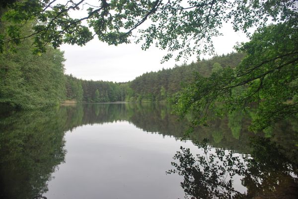 Mönchsweiher