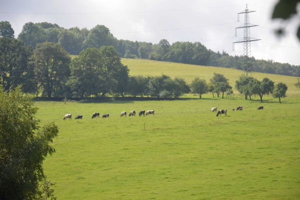 Ein Blick in die Natur