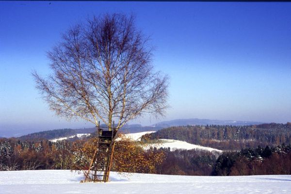 Winterlandschaft
