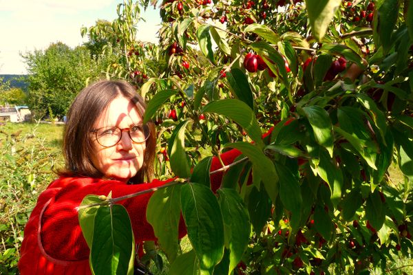 Kräuterpädagogin Elke Weber mit Kornelkirsche