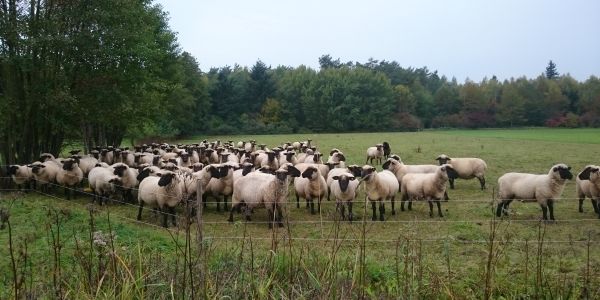 Lützelforstmühle Hofladen