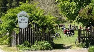 Gaststätte Hof - Biergarten