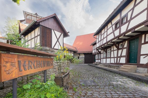 Bild des Datensatzes Sommerfest Freunde des Lerchennest (Sinsheim-Steinsfurt)