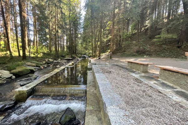 In einem sonnigen Laubwald liegt ein großes, gemauertes Wassertretbecken mit mittig umlaufender Haltestange. Davor stehen zwei steinerne Sitzgelegenheiten mit Holzauflage.